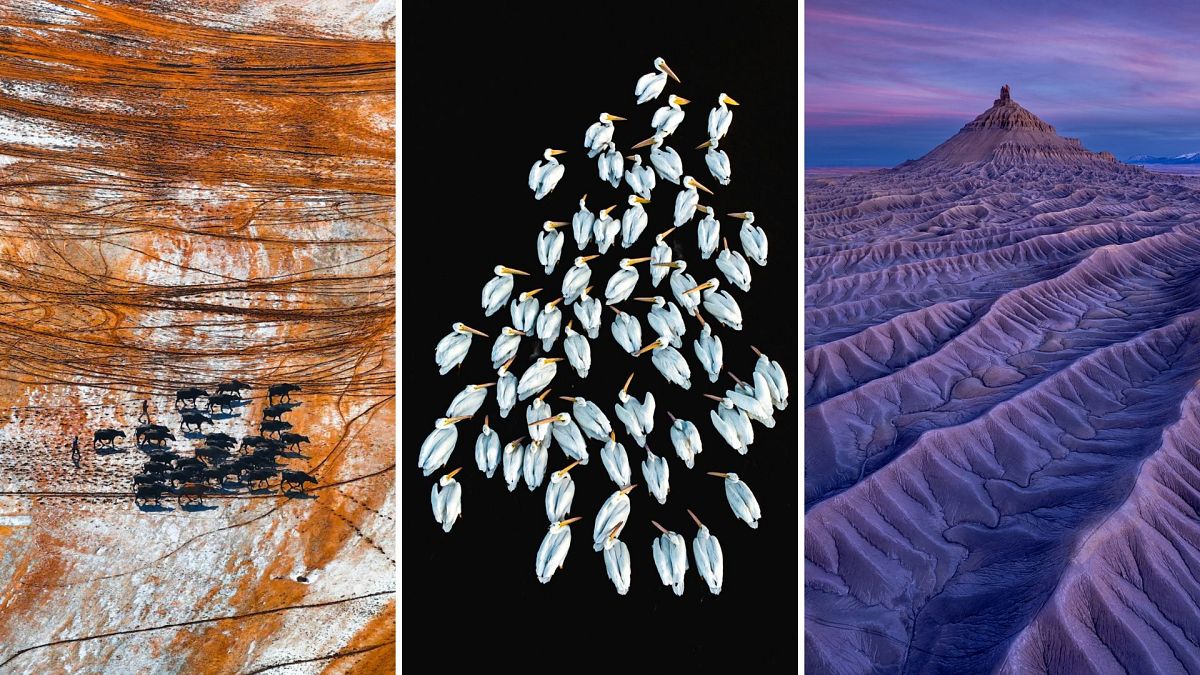 Kendini beğenmiş kutup ayıları ve lava ejderhalari: çenesi düşen drone fotoğraf ödülleri 2024 finalistlee bir bakın