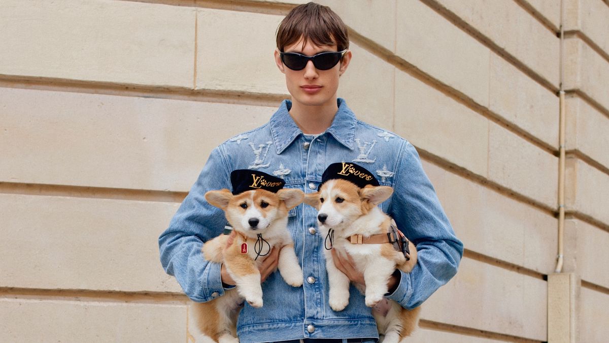 Köpekler Mi Gitti? Louis Vuitton Yeni Köpek Koleksiyonuyla Deliriyor