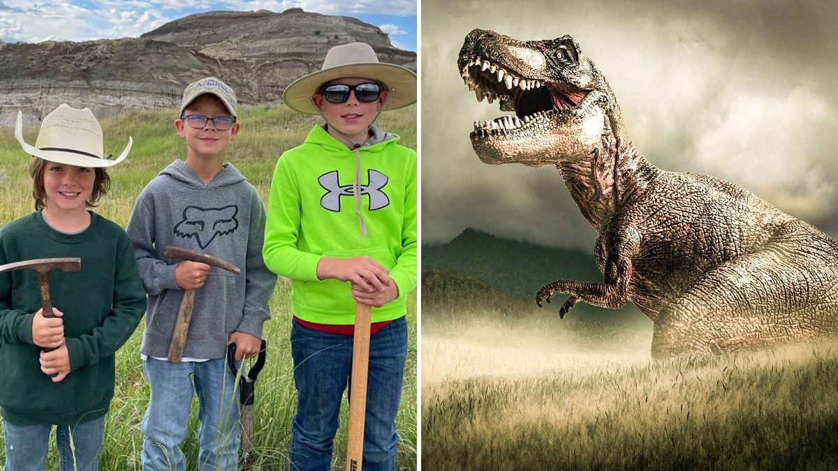 Üç Genç Kaşif Kuzey Dakota’da T. Rex Fosilini nasil Ortaya çikardi?