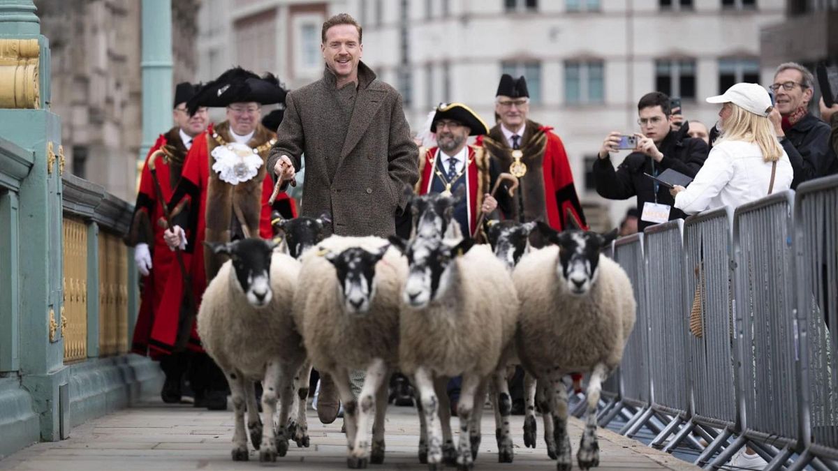 Baaah-nd kardaş mi? Hollywood Yılızı Damian Lewis Bir Londra Köpüzü Üzerinde Koyun Sürüleri