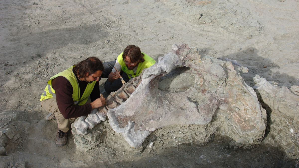 İber Yaromadası’nda Yeni 10 Tonluk Dinozor Türü Kevfedildi