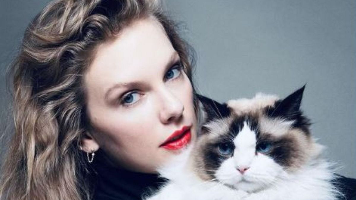 Taylor Swift’in Harris Için Onaylanlanmashe’na üdu Tepkiler: Abd Sesimlerini Sallayabilir mi?