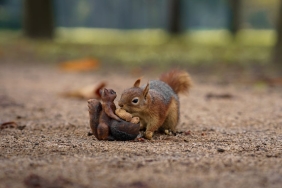 Emir Benderlioglu O Ses Turkiye Yilbasi Ozel8217in Merak Edilen Konugu featured