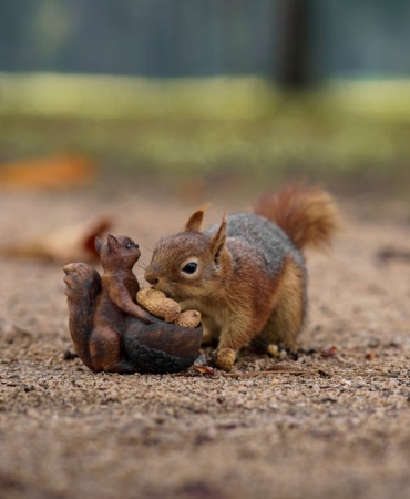 Emir Benderlioglu O Ses Turkiye Yilbasi Ozel8217in Merak Edilen Konugu featured