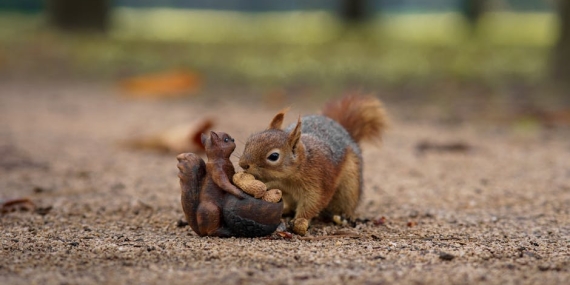 Emir Benderlioglu O Ses Turkiye Yilbasi Ozel8217in Merak Edilen Konugu featured