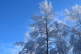 13 Ocak Reytingleri A.B.I. ve Ruya Gibi Zirvede featured