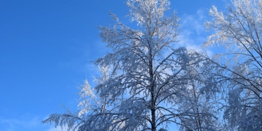 13 Ocak Reytingleri A.B.I. ve Ruya Gibi Zirvede featured