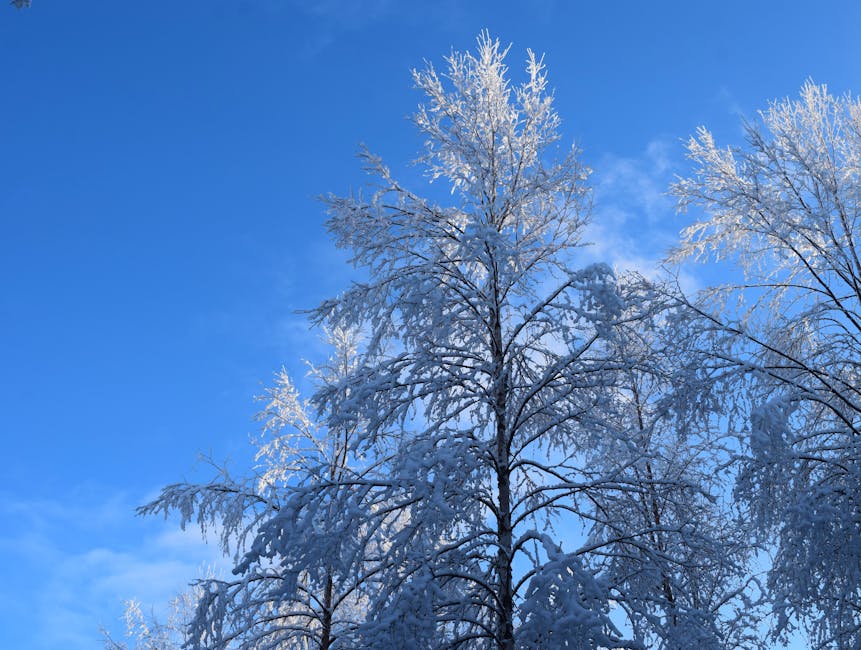 13 Ocak Reytingleri A.B.I. ve Ruya Gibi Zirvede featured