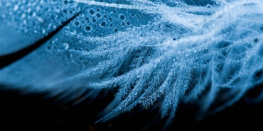 Arka Sokaklar 736. Bolumde Neler Yasanacak Iste Ilk Detaylar featured