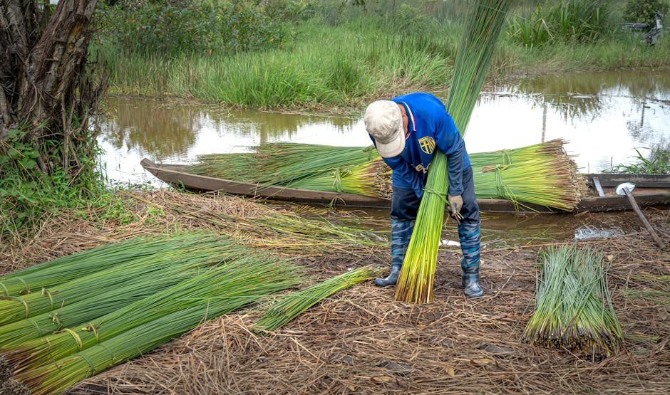 Demet Akalin8217dan 8216Bot Dinleyici8217 Isyani 8220Zirveden Indirildik8221 featured