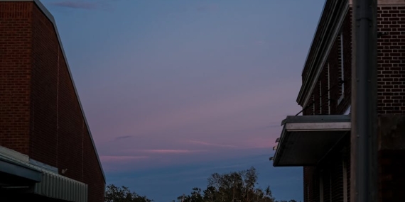 Gonul Dagi Yeni Bolum Bu Aksam Yok Iste TRT 1 Yayini featured