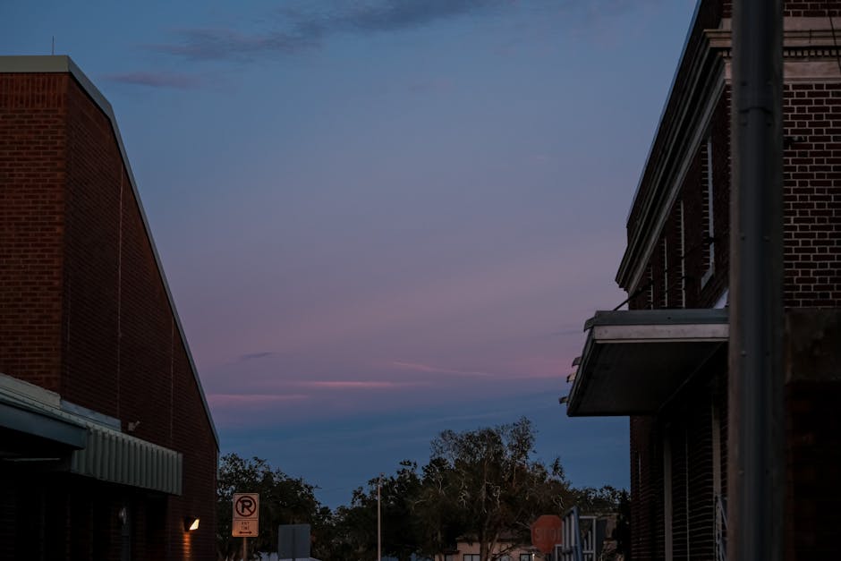 Gonul Dagi Yeni Bolum Bu Aksam Yok Iste TRT 1 Yayini featured