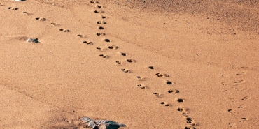 Survivor 14 Ocak 2026 Ilk Eleme Adayi Kim Oldu Dokunulmazlik Kimde featured