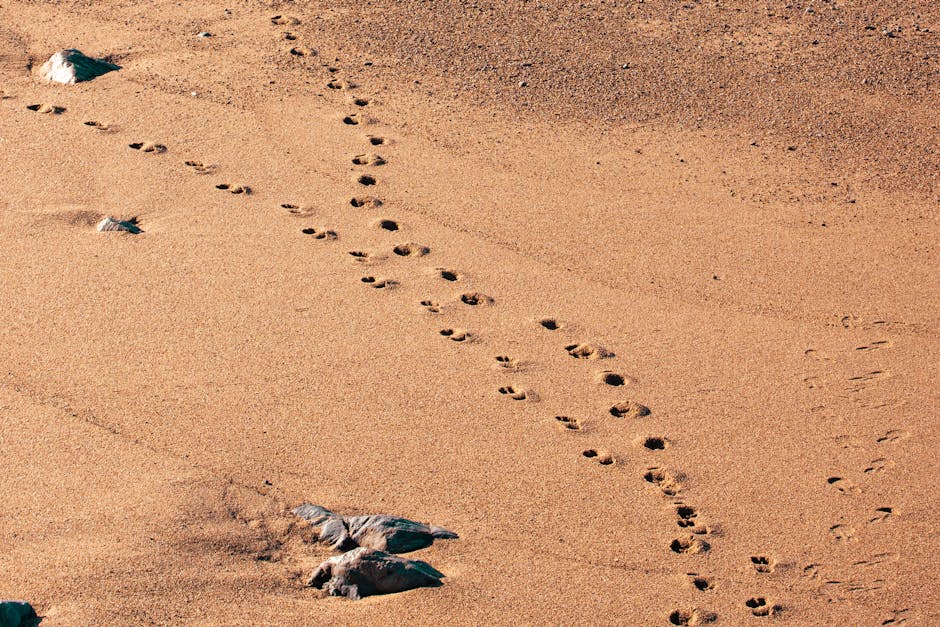 Survivor 14 Ocak 2026 Ilk Eleme Adayi Kim Oldu Dokunulmazlik Kimde featured