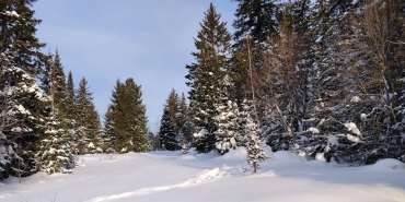 Survivor 20248217un Dikkat Ceken Yedek Ismi Onur Alp Cam Kimdir featured