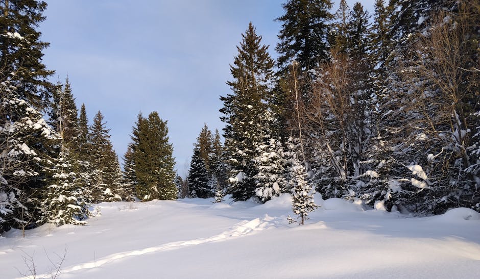 Survivor 20248217un Dikkat Ceken Yedek Ismi Onur Alp Cam Kimdir featured