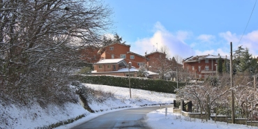 Survivor Tutkunlari Dikkat 23 Ocak 2026 Yayin Akisi featured