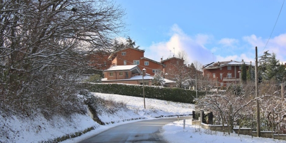 Survivor Tutkunlari Dikkat 23 Ocak 2026 Yayin Akisi featured