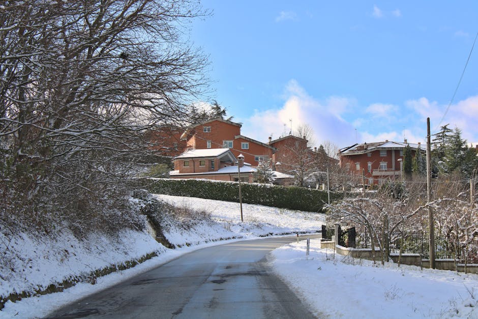 Survivor Tutkunlari Dikkat 23 Ocak 2026 Yayin Akisi featured