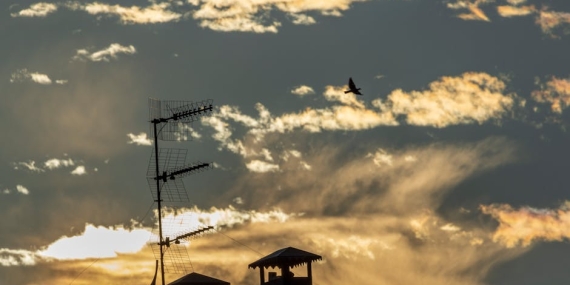 Veliaht Bu Aksam Yok 1 Ocak 2026 Show TV Programi featured