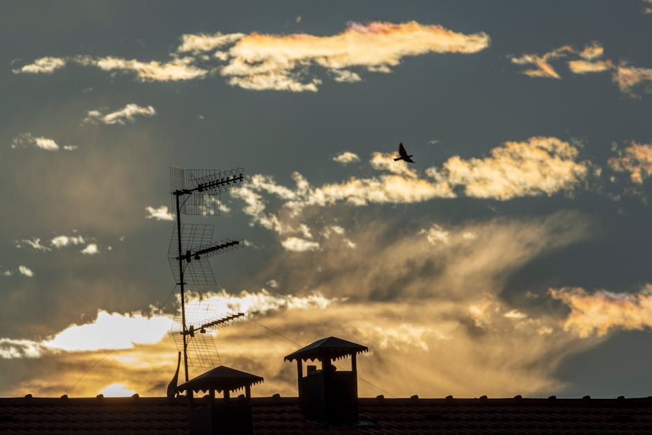 Veliaht Bu Aksam Yok 1 Ocak 2026 Show TV Programi featured