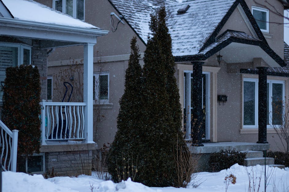 19 Subat Reytingleri Sevdigim Sensin Zirveye Yerlesti featured