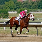 8 Subat Reytinglerinde Zirvenin Sahibi Teskilat Fark Atti featured