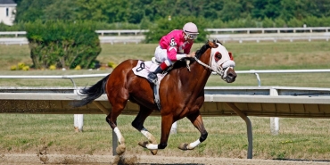 8 Subat Reytinglerinde Zirvenin Sahibi Teskilat Fark Atti featured