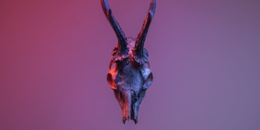 Hizli ve Ofkeli 10 Dom Toretto8217nun Intikam Atesiyle Yuzlesmesi featured