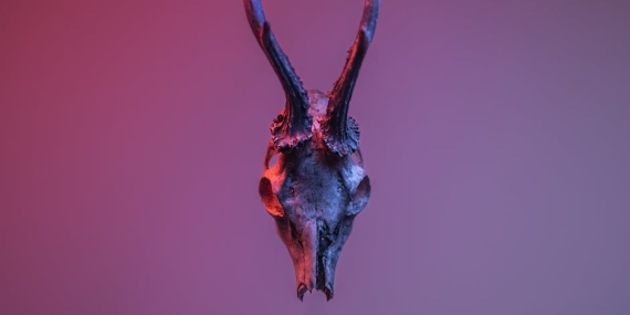 Hizli ve Ofkeli 10 Dom Toretto8217nun Intikam Atesiyle Yuzlesmesi featured