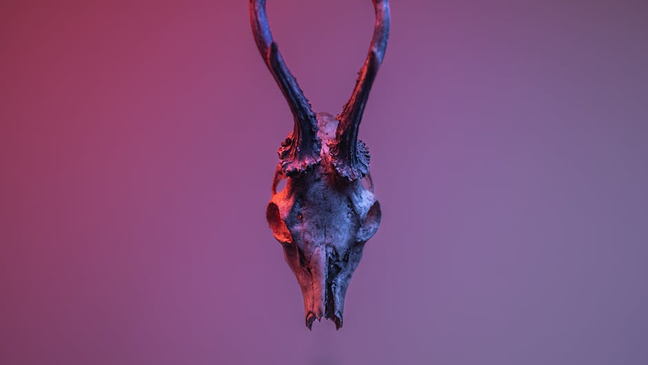 Hizli ve Ofkeli 10 Dom Toretto8217nun Intikam Atesiyle Yuzlesmesi featured