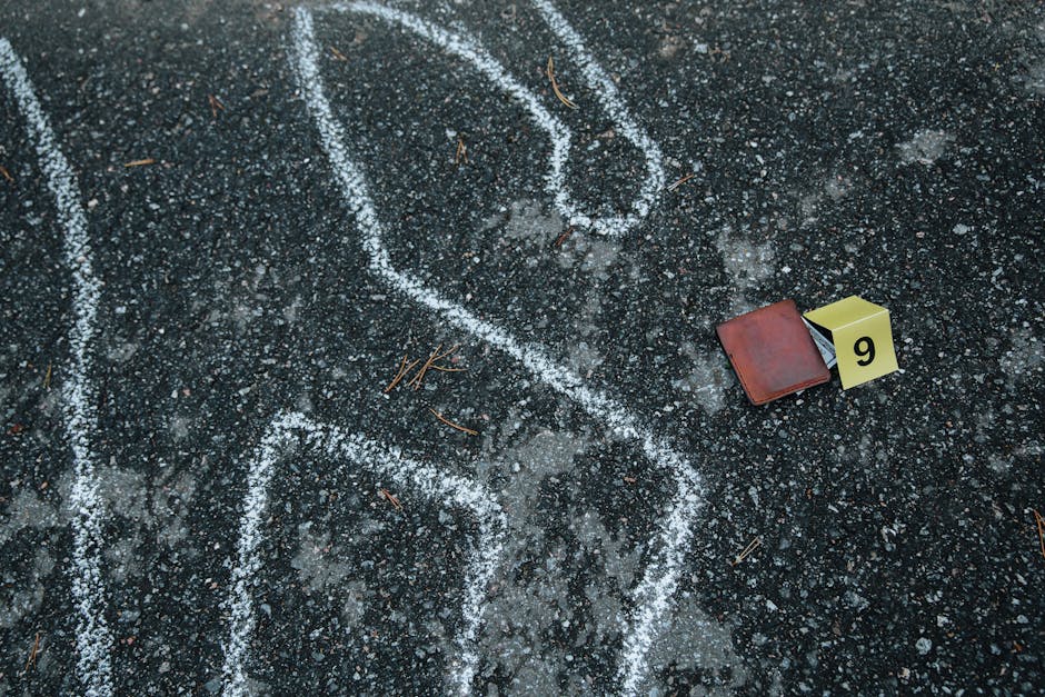 Survivor 9 Subat Kirmizi Takim Kazandi Ogeday8217a Sok Ceza featured