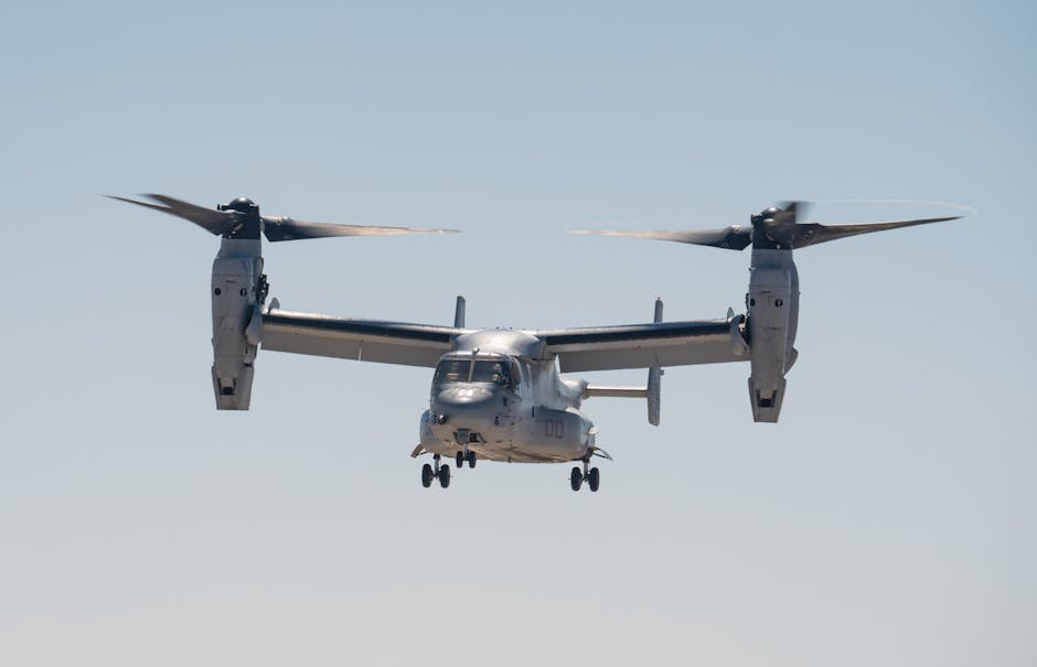 Survivor8217da 22 Subat Elenen Isim Belli Oldu featured