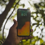 Survivor8217da 8 Subat Aksami Beklenmedik Veda Sahra Isik Adaya El Salladi featured