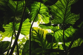 Taro Emir Tekin ve Nilsu Berfin Aktas Ask Iddialarini Guclendirdi featured