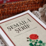 7 Nisan Sali TV Rehberi Bu Aksam Hangi Diziler Ekranda featured