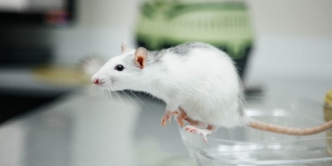 Arka Sokaklar 745. Bolum Fragmani Bahar8217in Akibeti Buyuk Merak Konusu featured