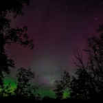 Esref Ruya Fenomeni Dijital Dunyanin Yeni Yukselen Yildizi featured