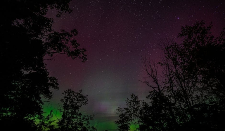 Esref Ruya Fenomeni Dijital Dunyanin Yeni Yukselen Yildizi featured